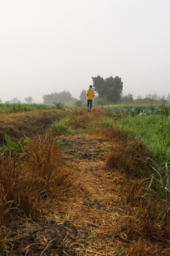 Фотография автора Adel elqamhawi Mohamed