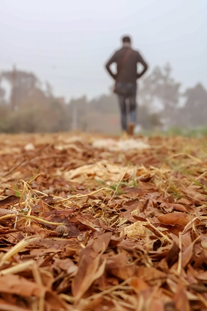 Фотография автора Adel elqamhawi Mohamed