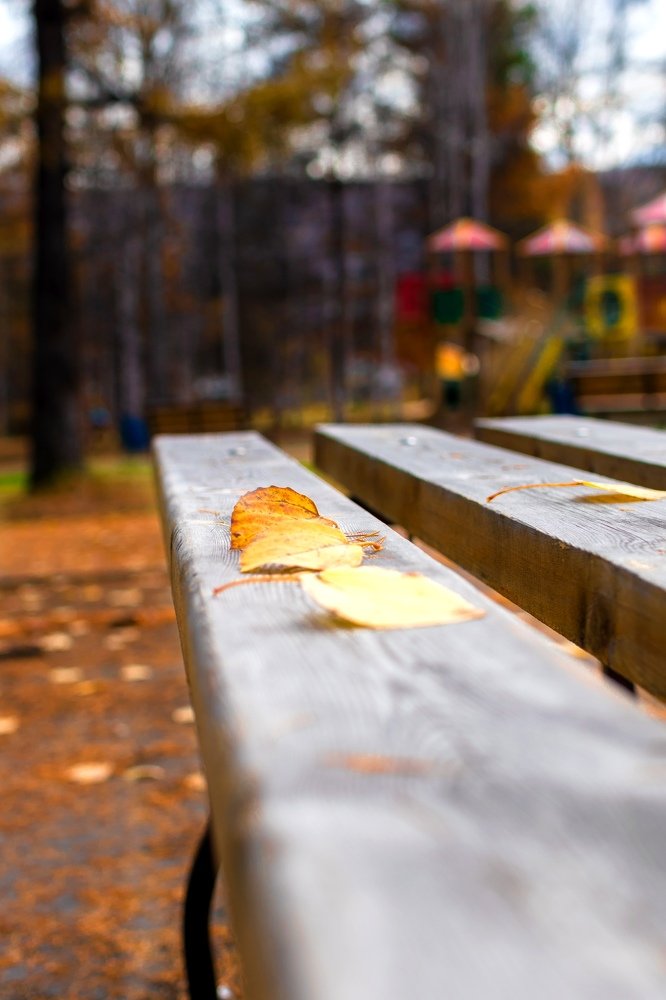 Photograph by Валентина Мокрушина