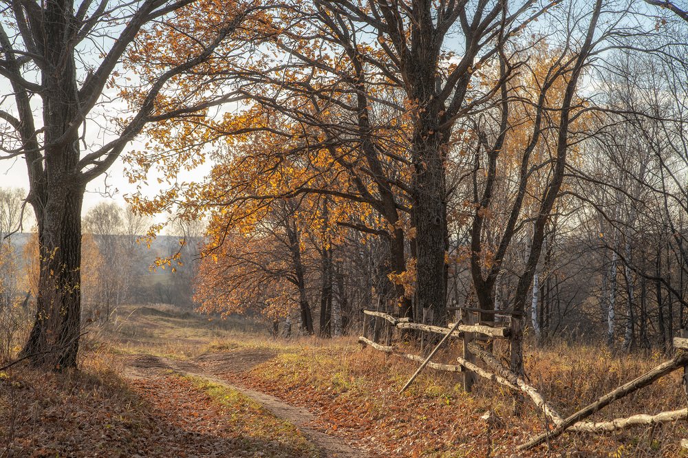 Photograph by Тамара Андреева