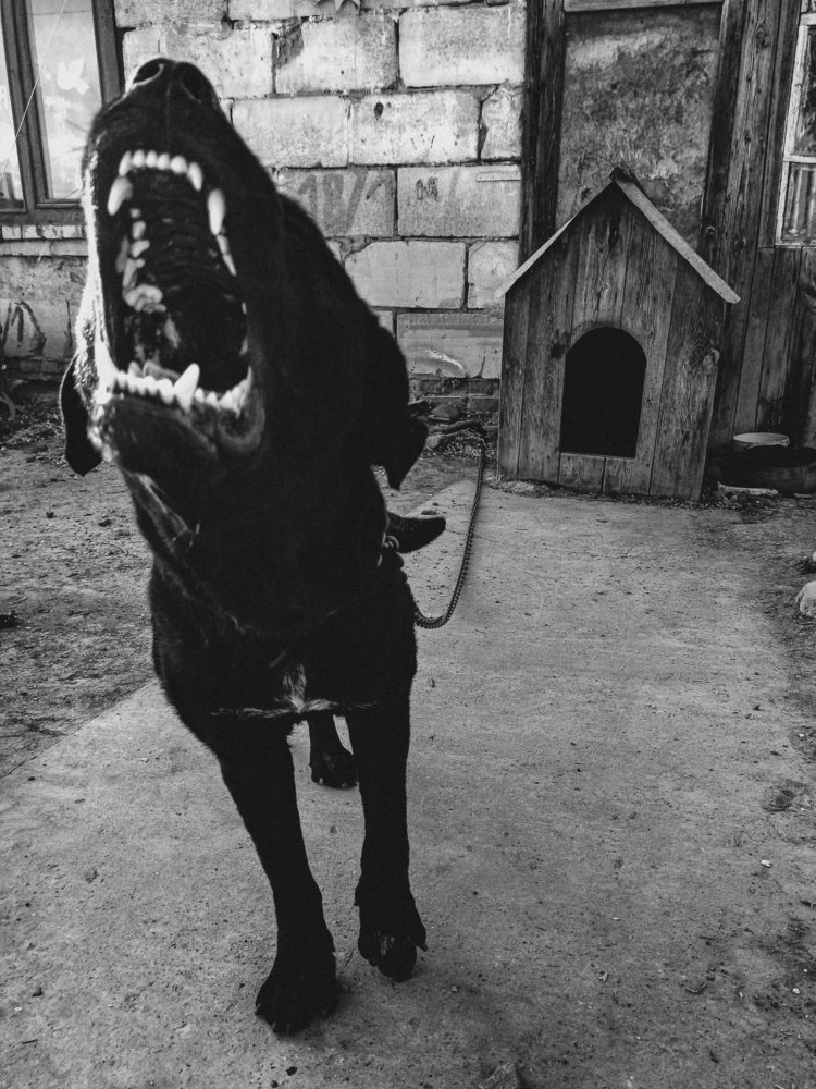 Photograph by Влад Имиров