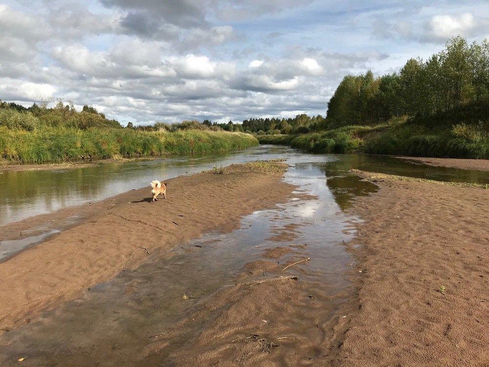 Photograph by Kuzmichev Alexey