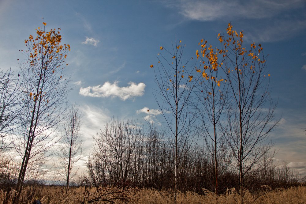 Photograph by Владимир