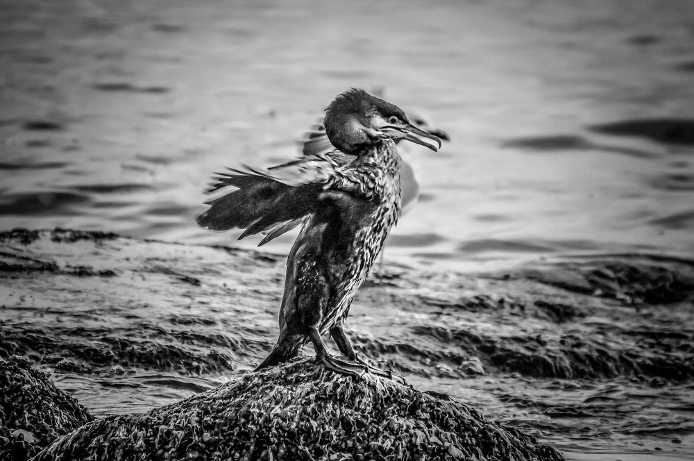 Фотография автора Katerina Georgieva