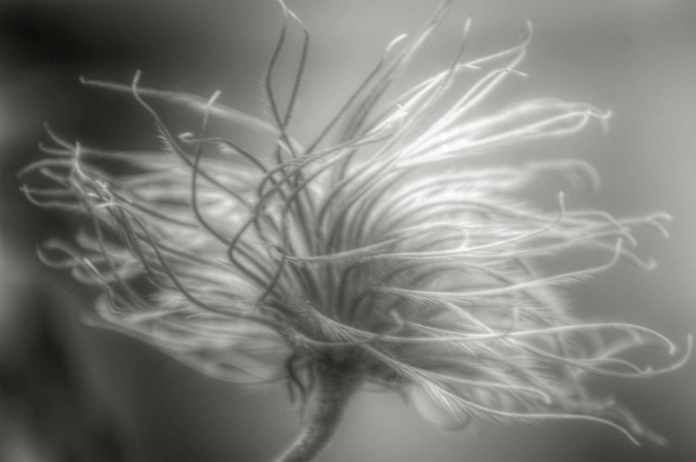 Фотография автора Katerina Georgieva