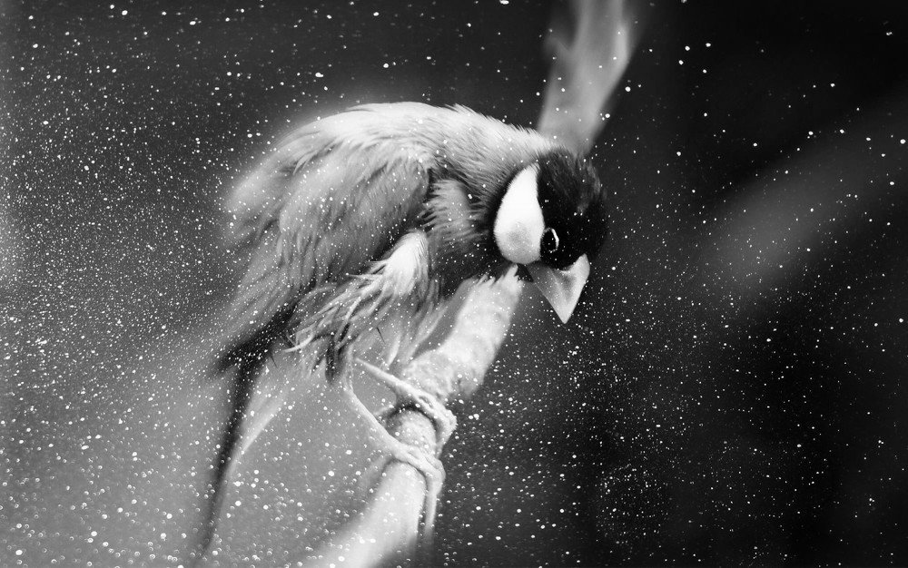 Фотография автора Katerina Georgieva