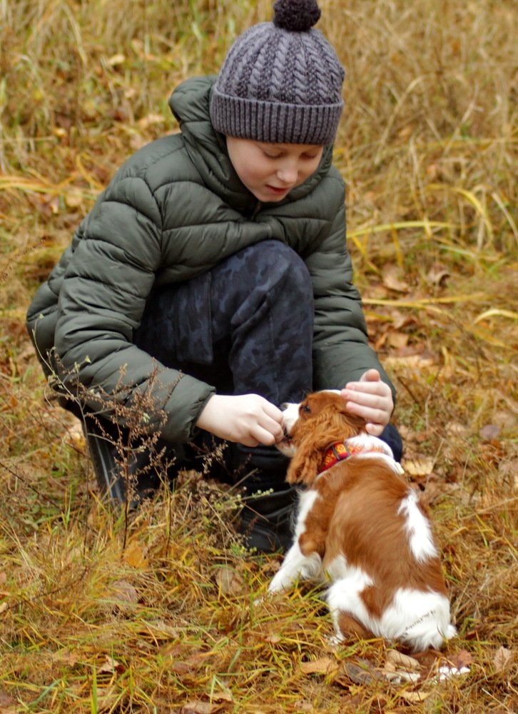 Photograph by Николай Николаевич Леухин