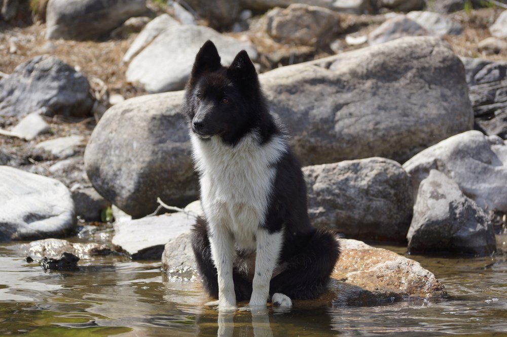 Photograph by Алексей Миронов