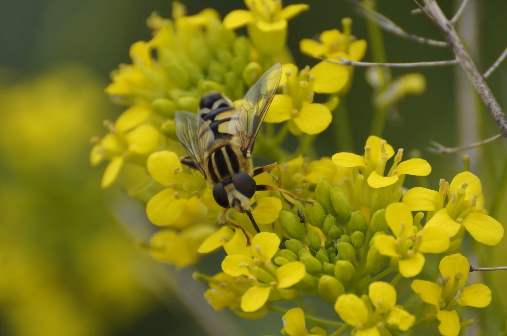 Photograph by Алексей Миронов
