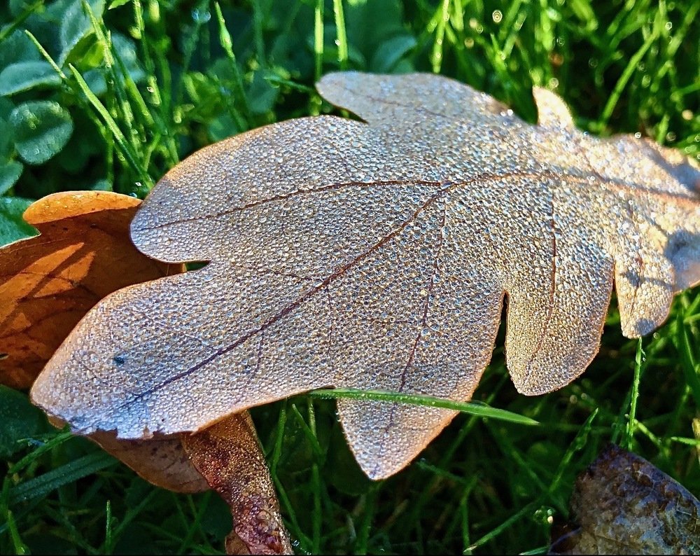 Photograph by Наталья Гладкая