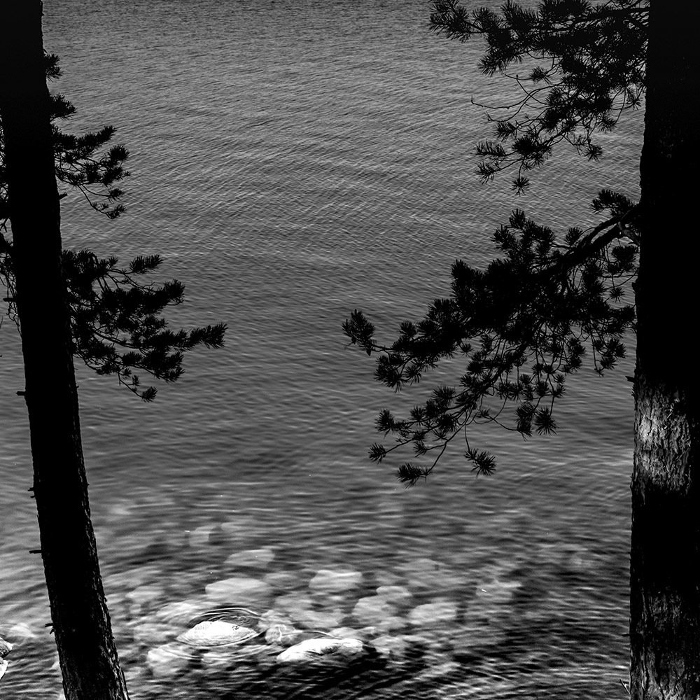 Камни и сосны. Русский Север.