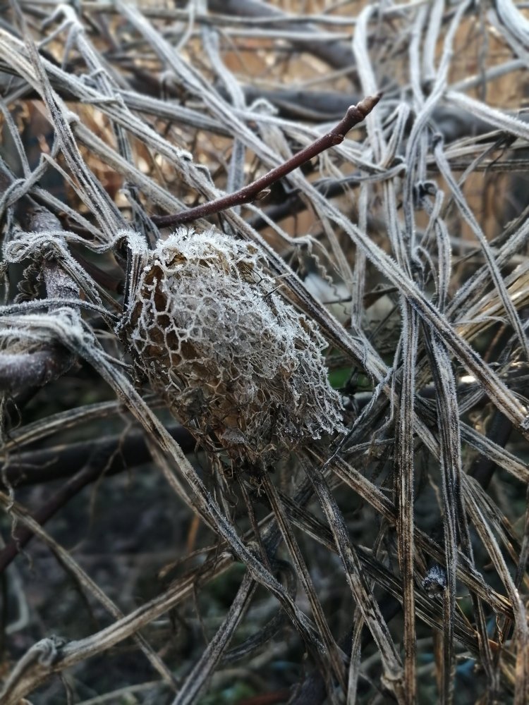Photograph by Наталья Кувайцева