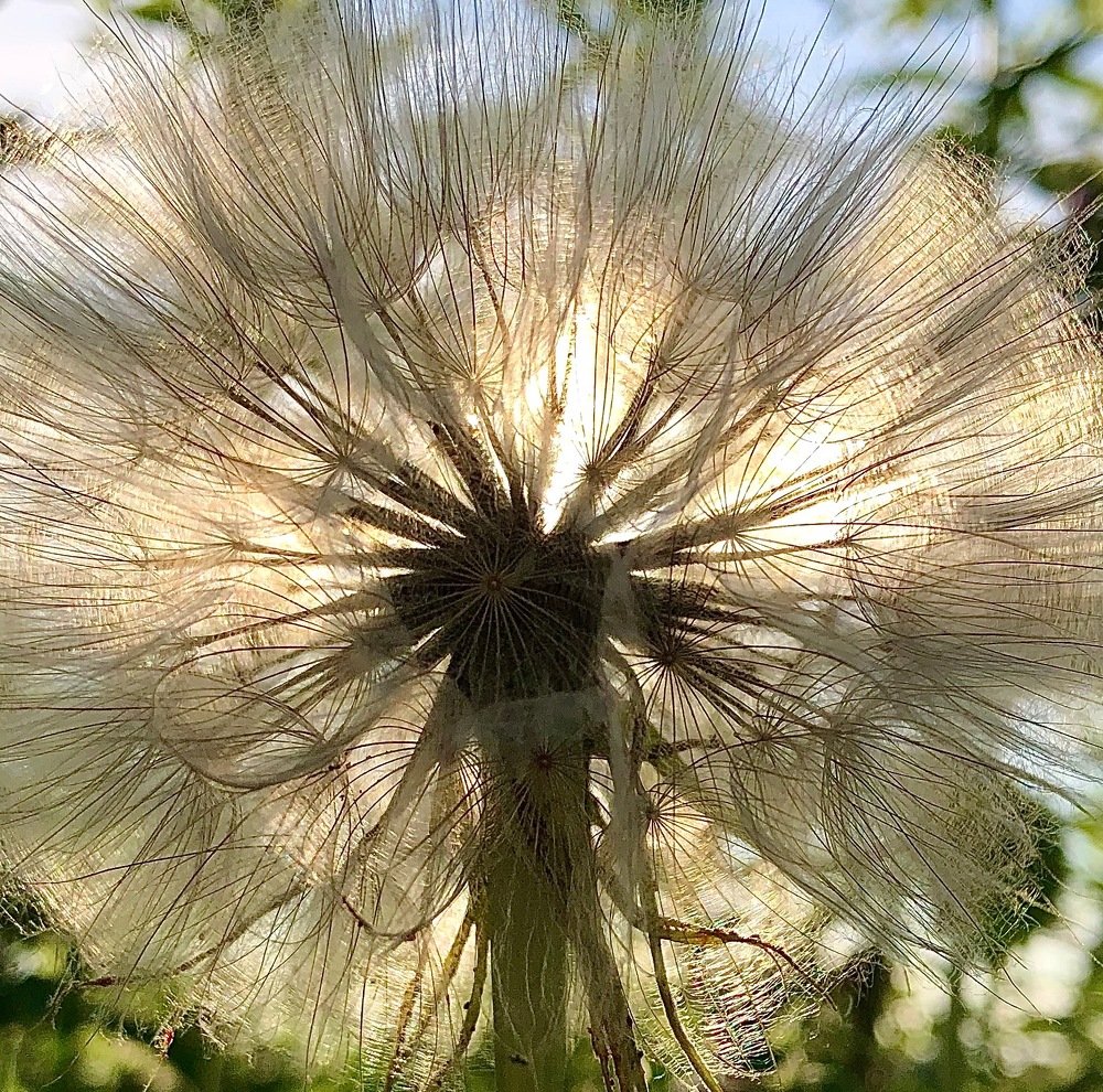 Photograph by Наталья Гладкая