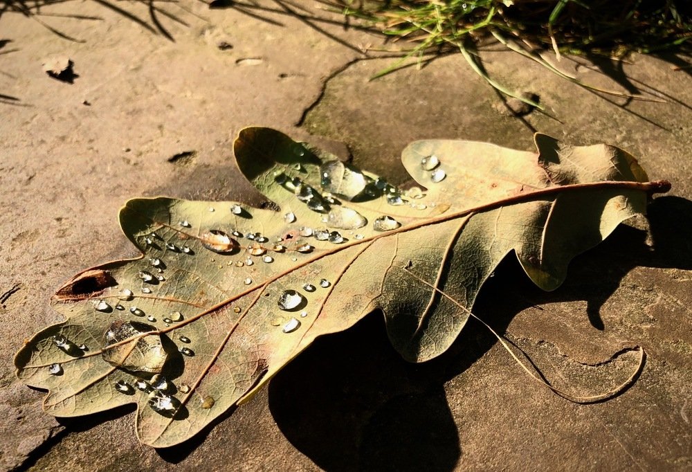 Photograph by Наталья Гладкая