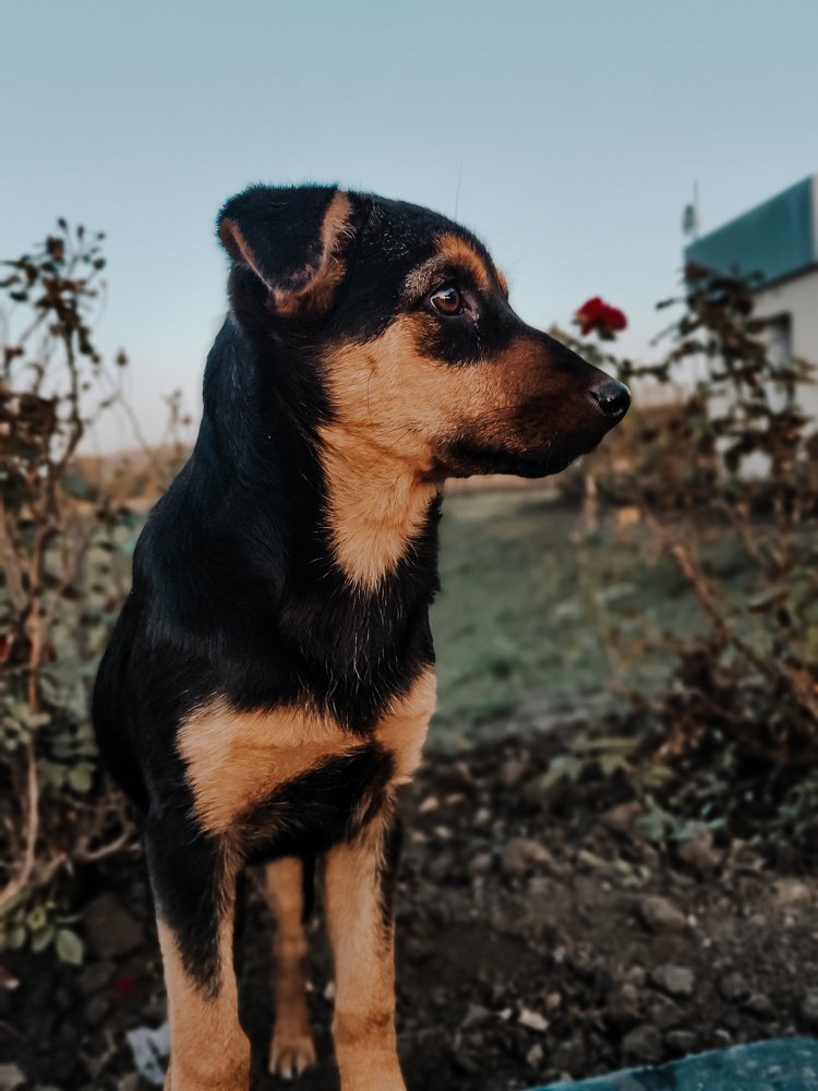 Фотография автора Иван Разиньков