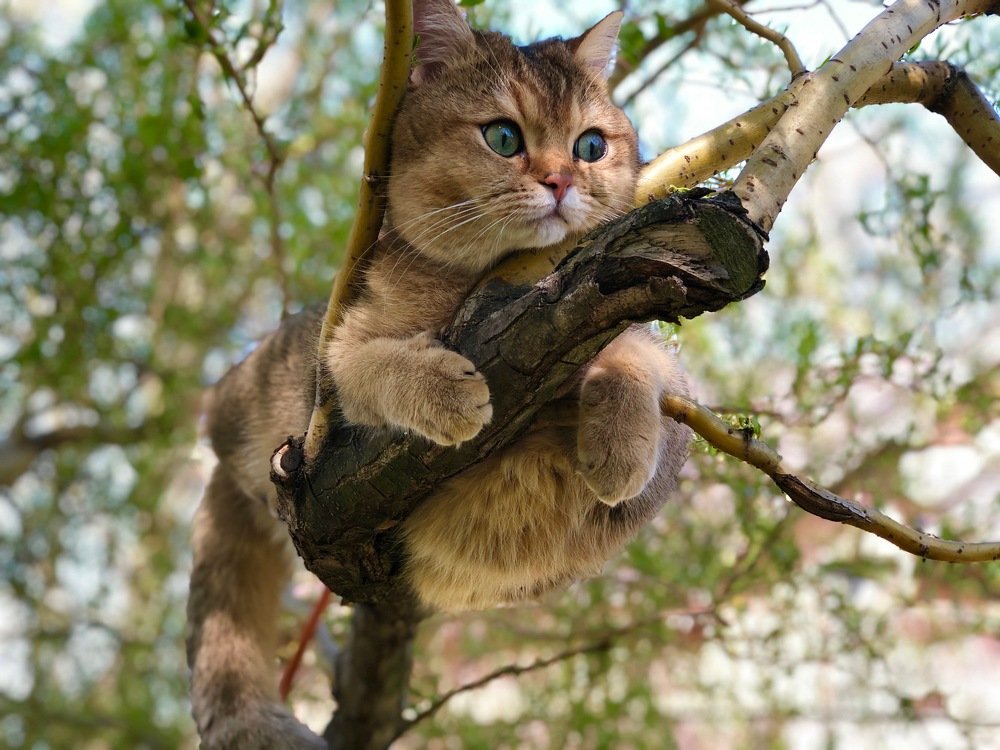 Photograph by Наталья Гладкая