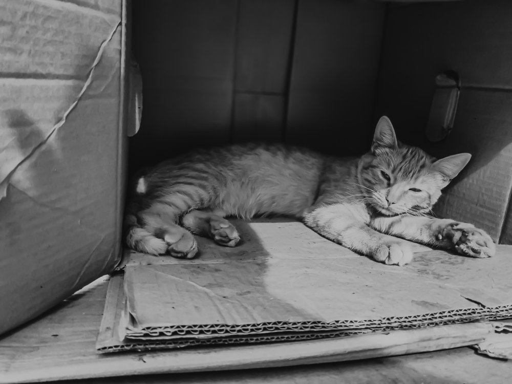 Фотография автора Иван Разиньков