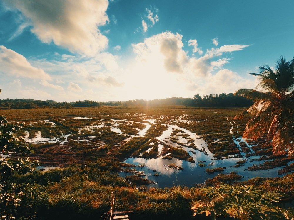 Photograph by Chamila Wickramanayake