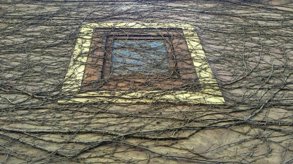 Photograph by Karine Galustova