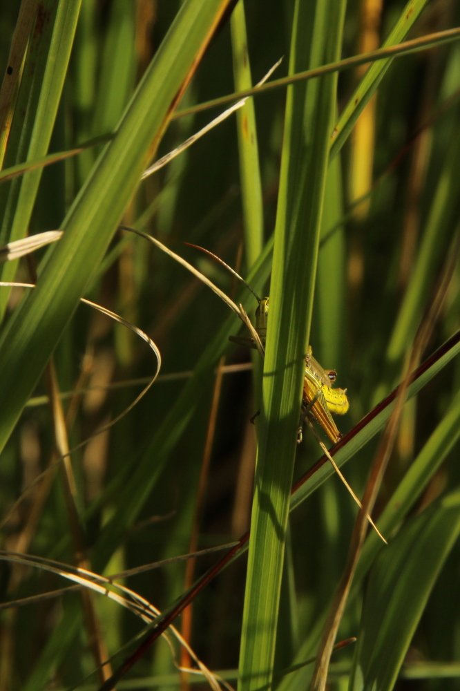 Photograph by Илья Беликов