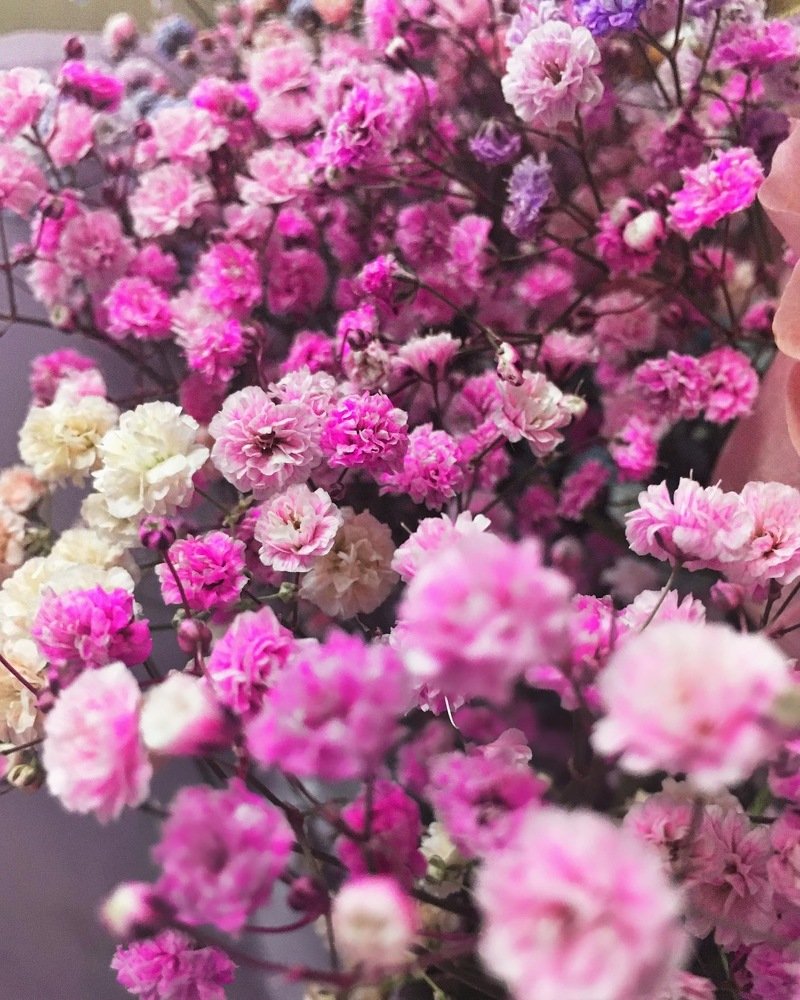 Photograph by Рыжик Алёна