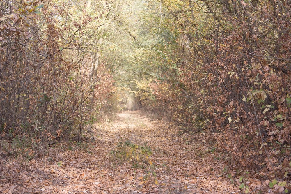 Photograph by Елена Демочкина