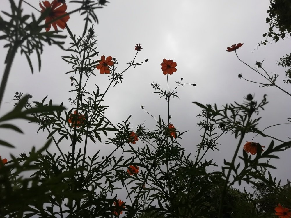 Photo #5188118