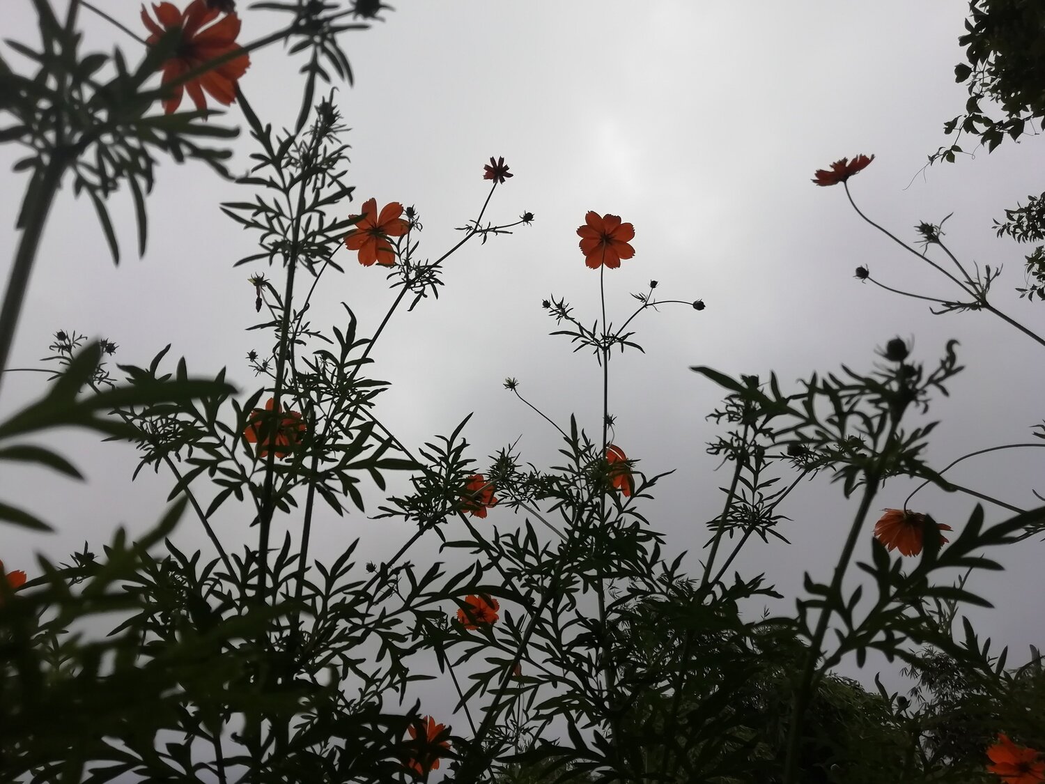 Photo #5188118