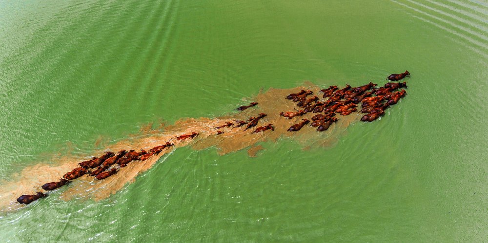 Photograph by Hợp Lò