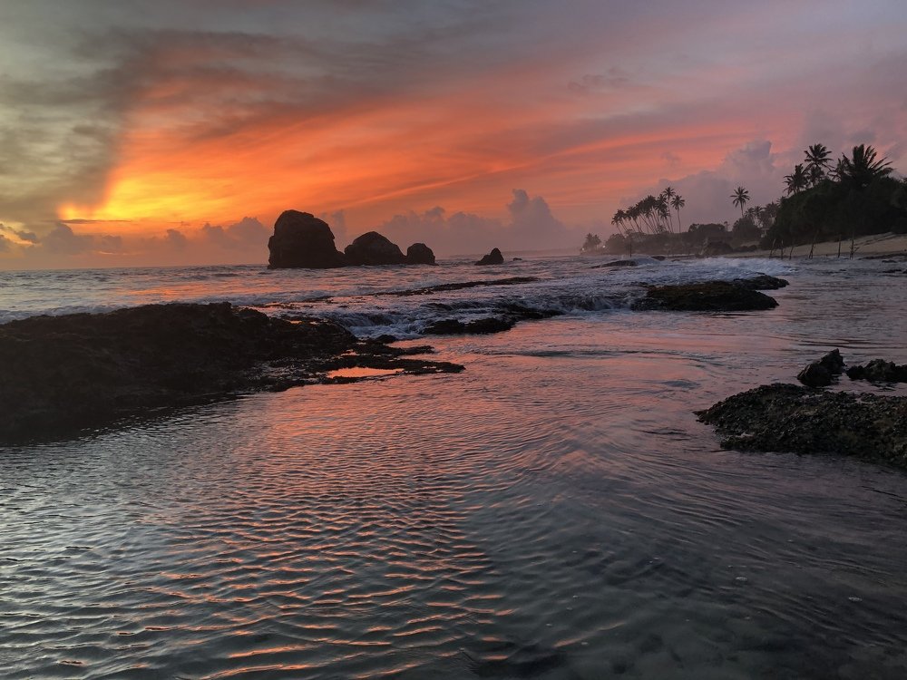 Photograph by Chamila Wickramanayake