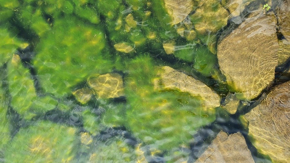 Photograph by Елена Молодзяновская