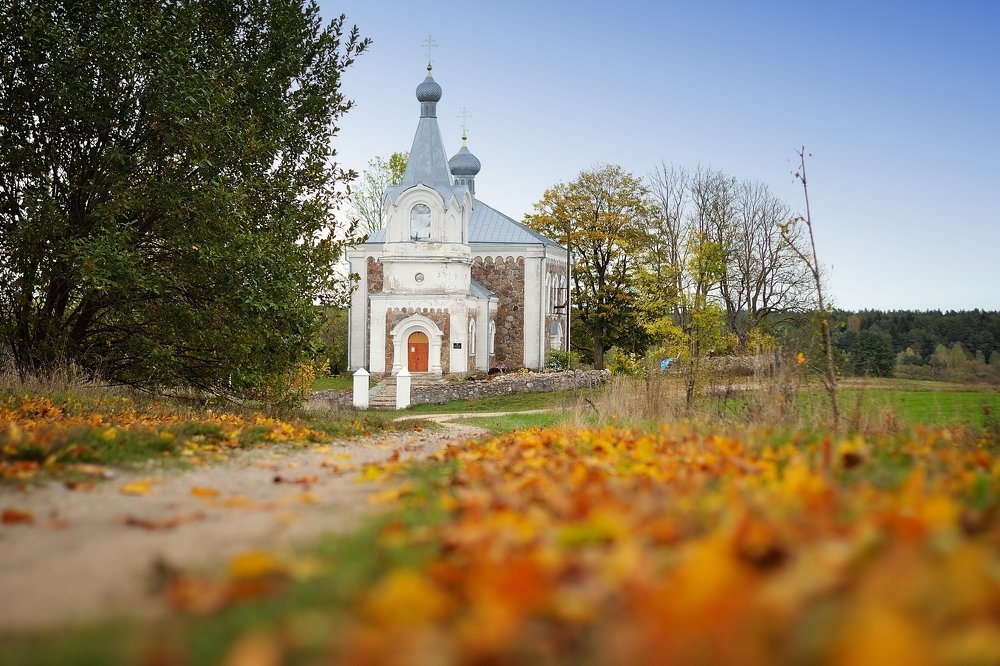 Фотография автора Роман Володащик