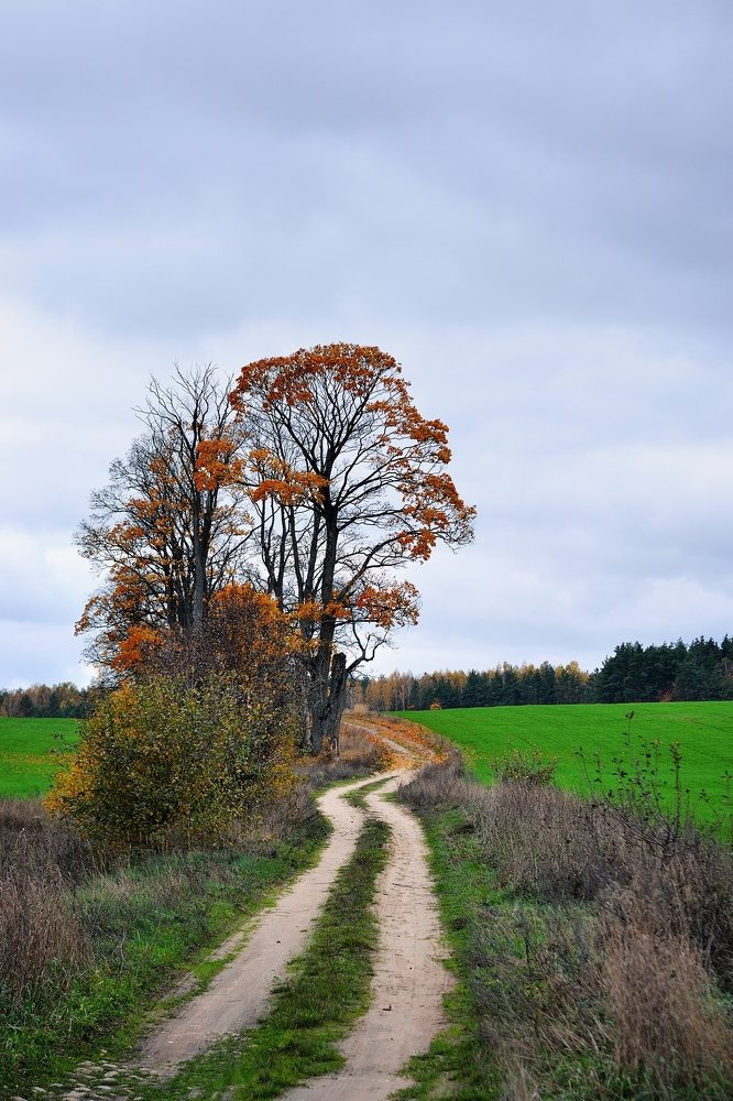 Фотография автора Роман Володащик