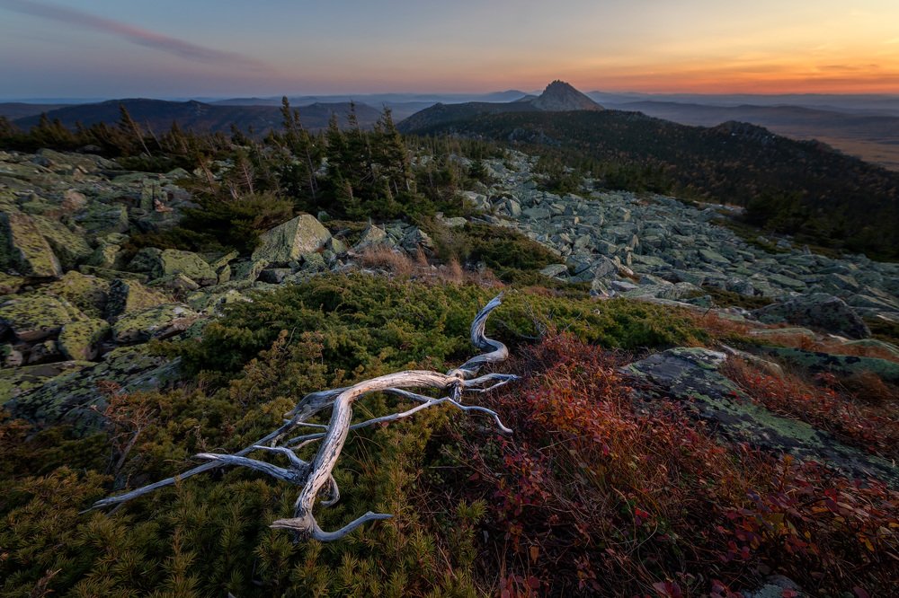 Photograph by Станислав Аристов