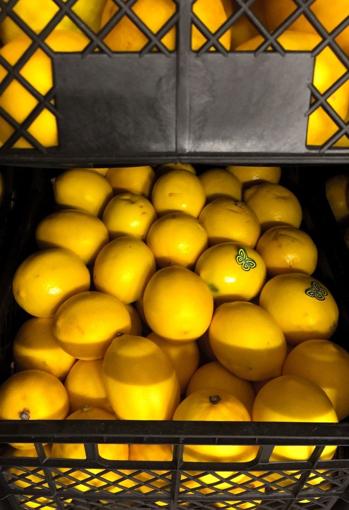 Фотография автора Екатерина Лапаева