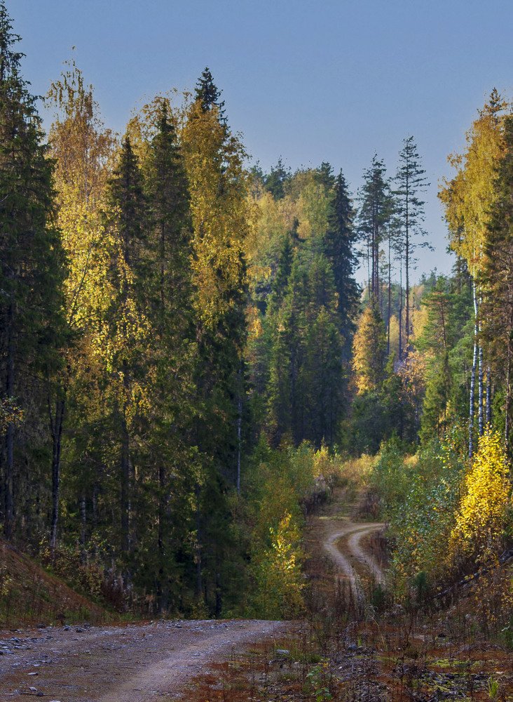 Photograph by Илья Крыжин