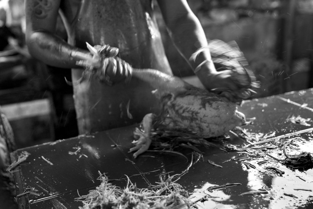 Photograph by EELIN Chan