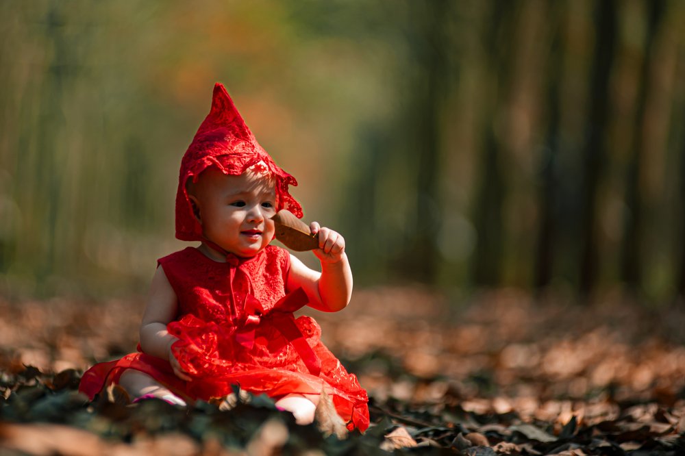 Photograph by Hợp Lò