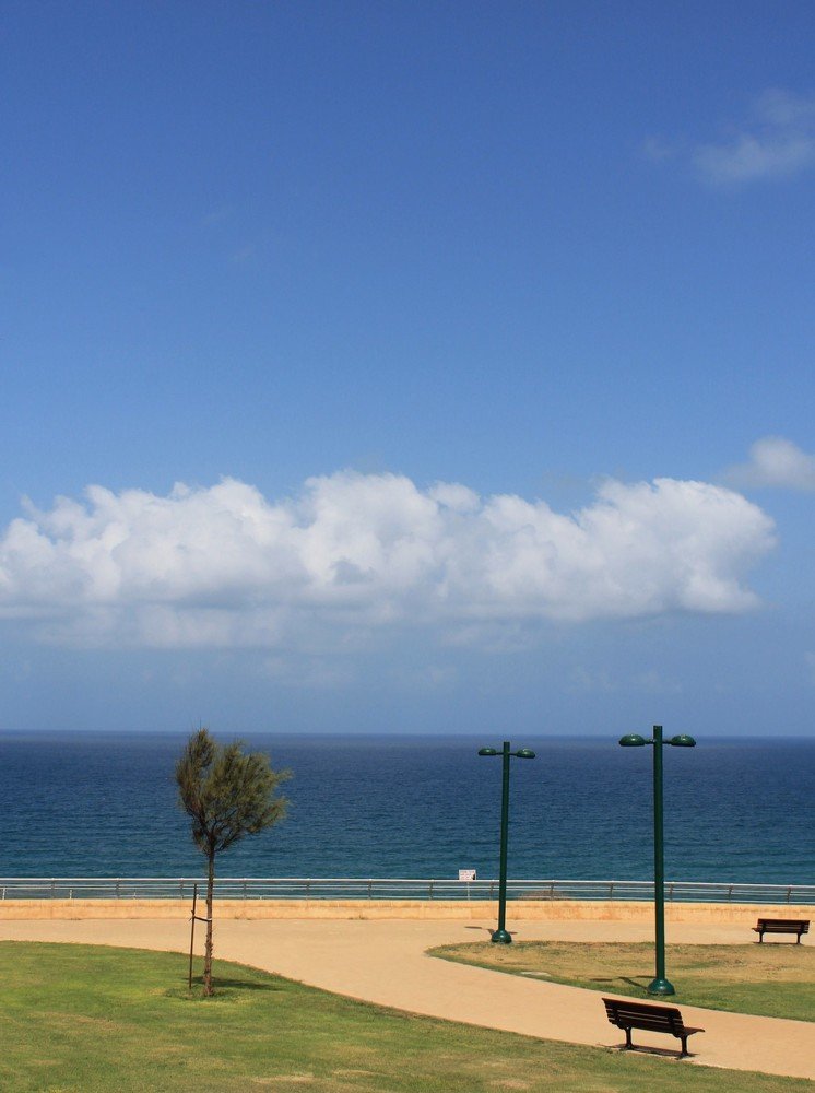 Фотография автора Алла Черноморская