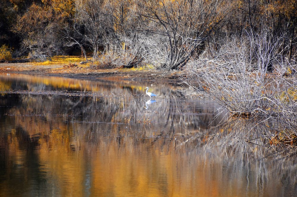 Photograph by Татьяна Дорожко