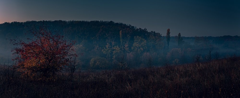 Photograph by Александр