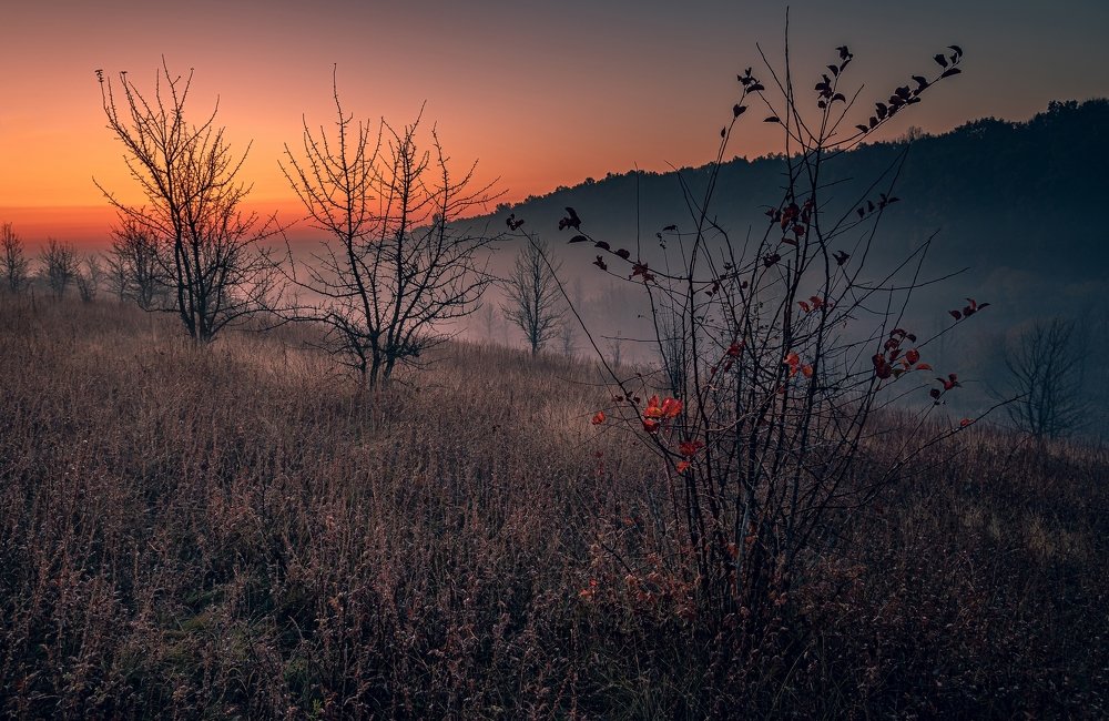 Photograph by Александр