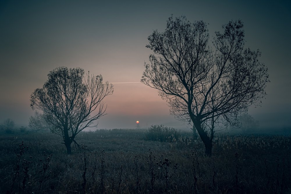 Photograph by Александр