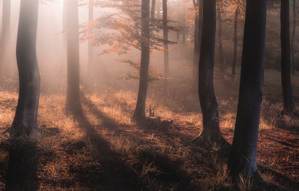 Photograph by Lukasz Maliszewski