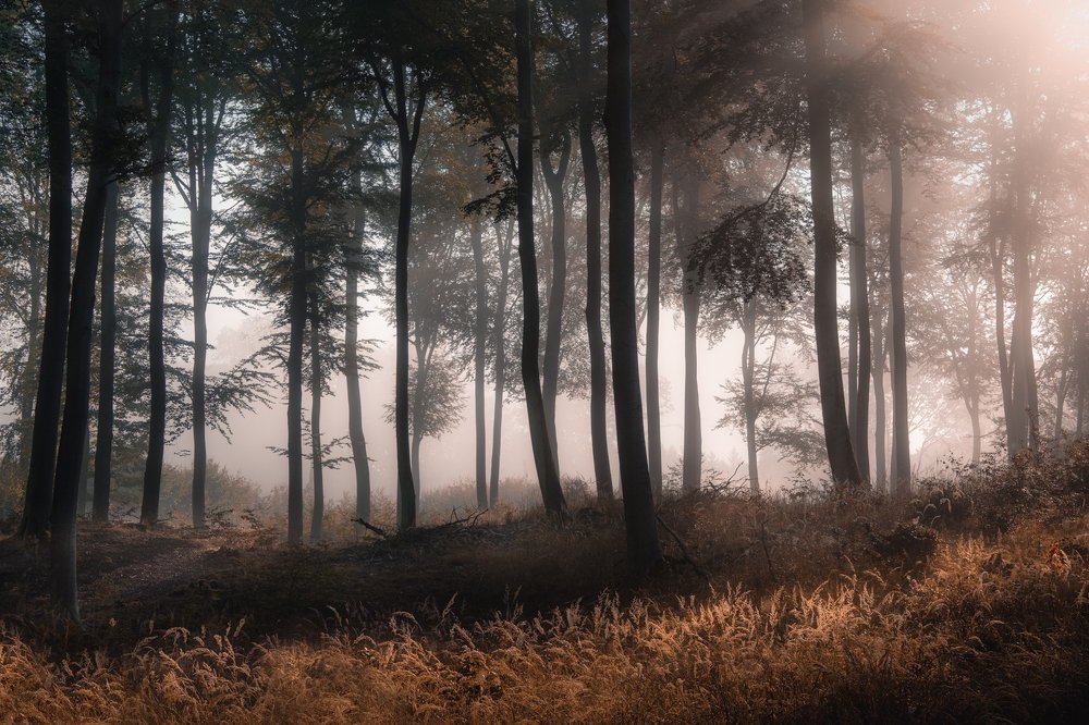 Photograph by Lukasz Maliszewski