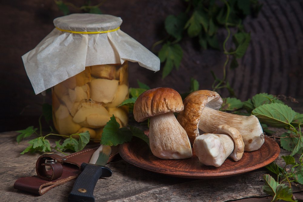 Photograph by Кравченко Константин