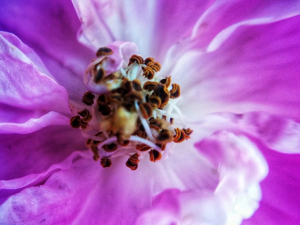 Photograph by Genesis Vivas