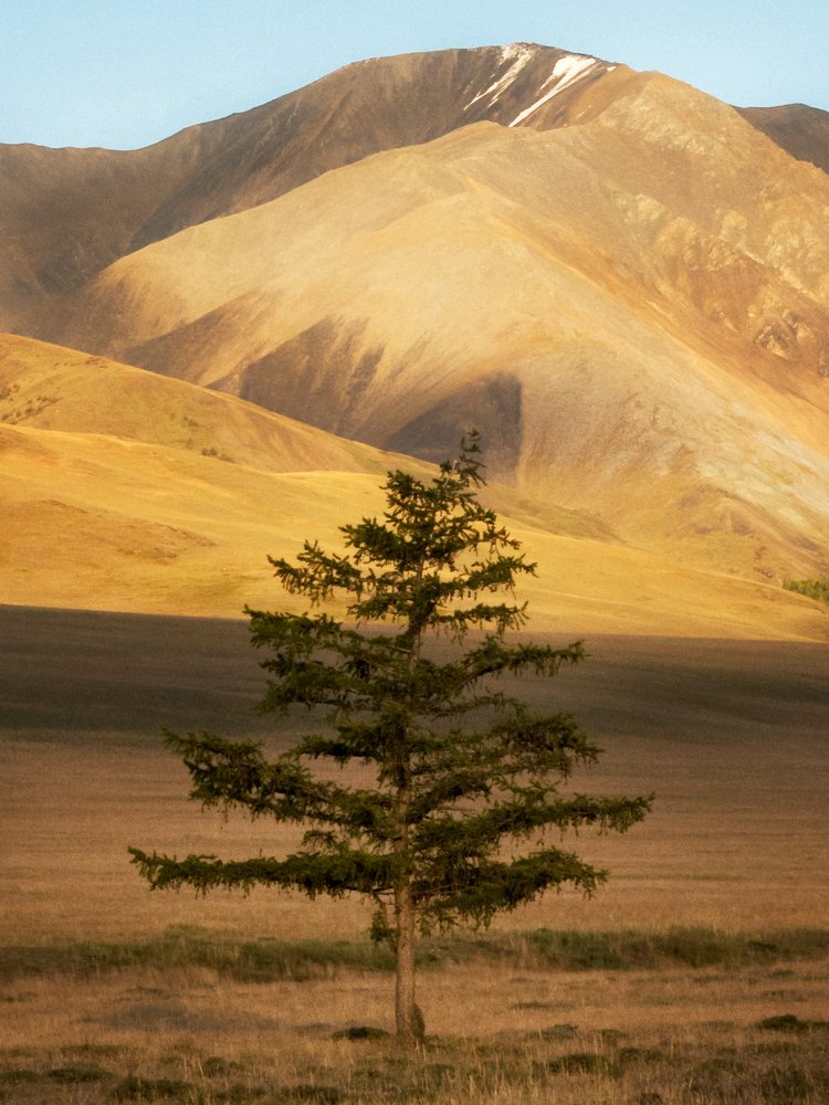 Photograph by Ольга Беккер