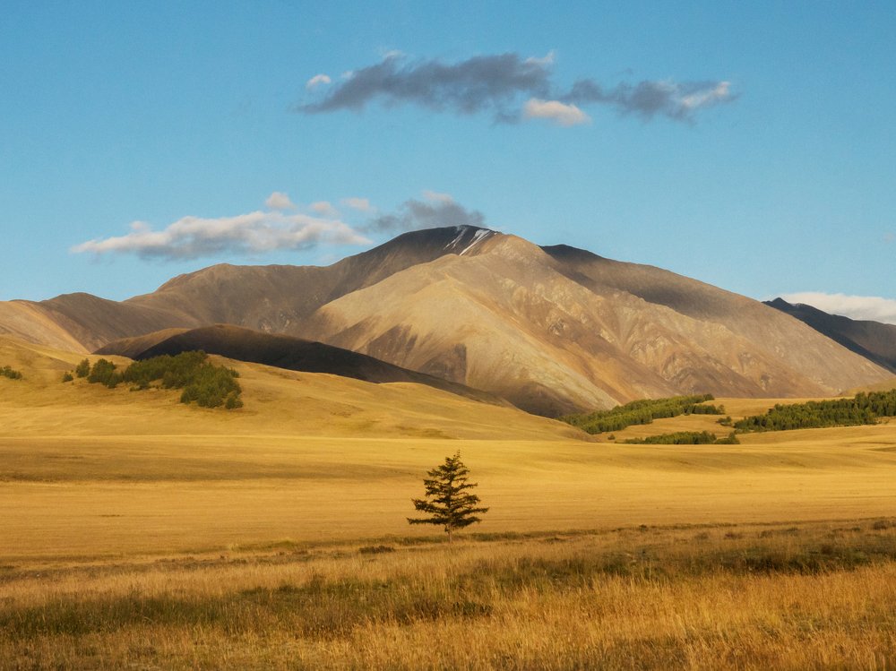 Photograph by Ольга Беккер