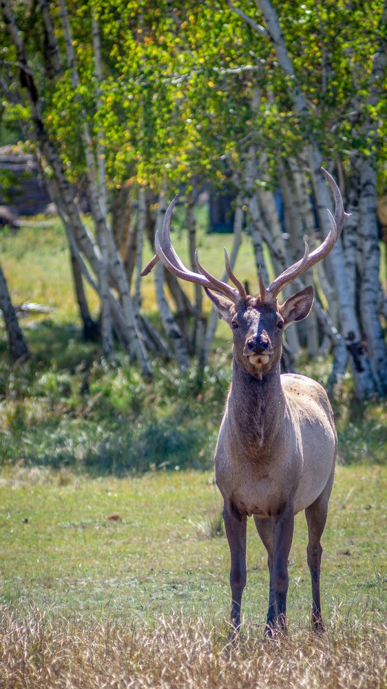 Фотография автора Руслан Токмагамбетов